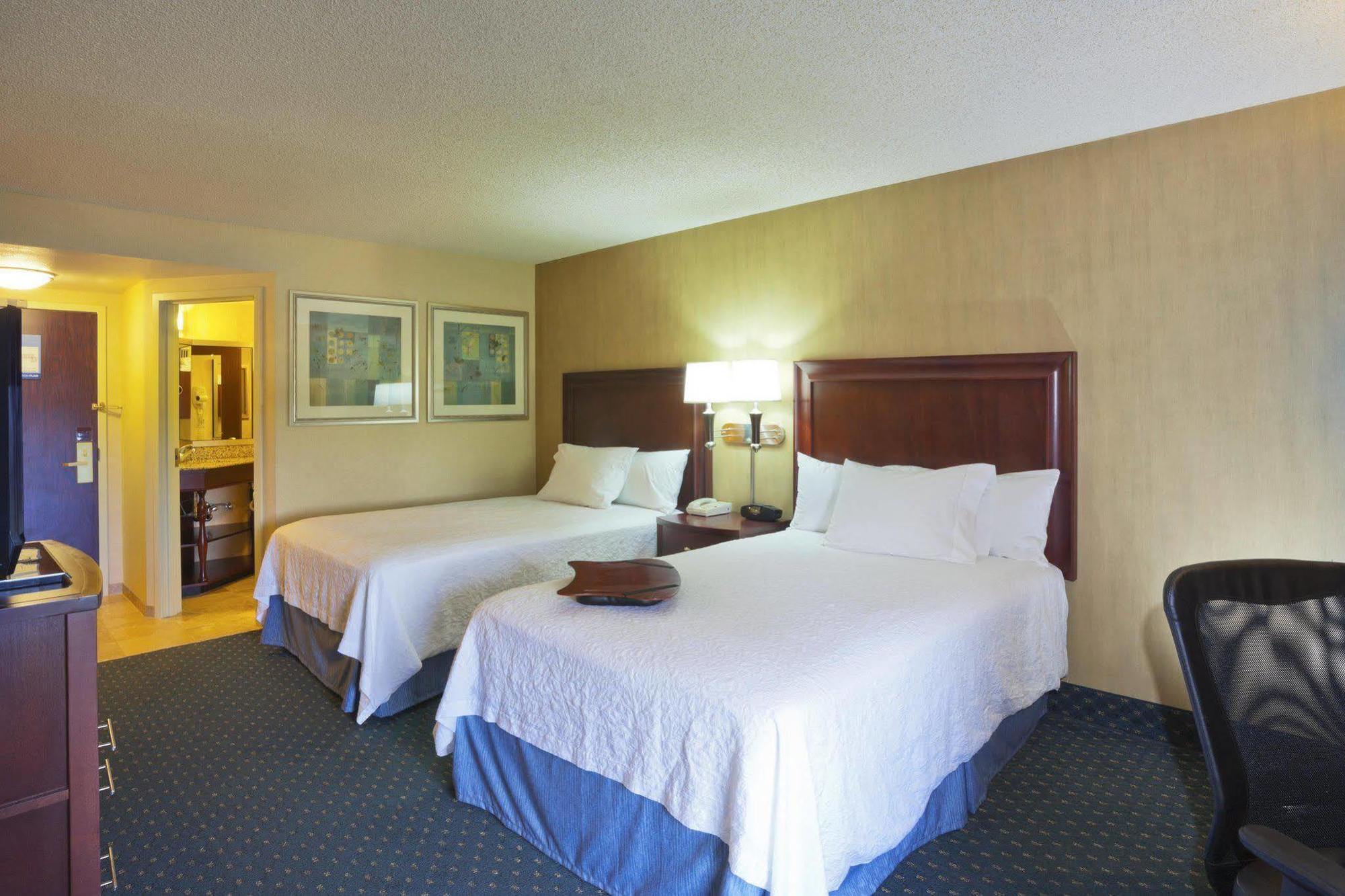 Hampton Inn Seattle Airport SeaTac Zimmer foto